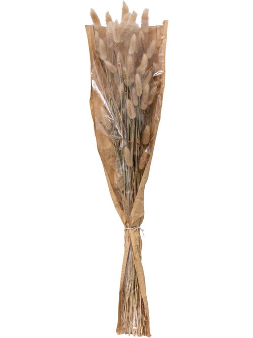 Bouquet de fleurs séchées ORI - Kiabi