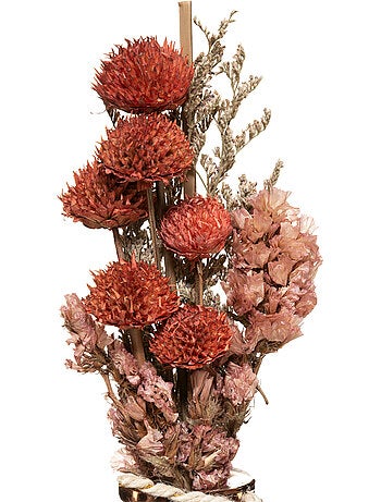 Bouquet de fleurs séchées WONDER