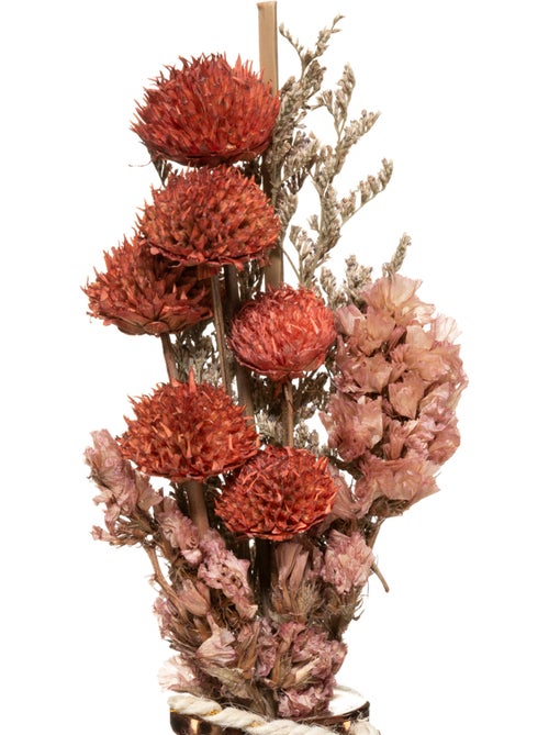 Bouquet de fleurs séchées WONDER - Kiabi