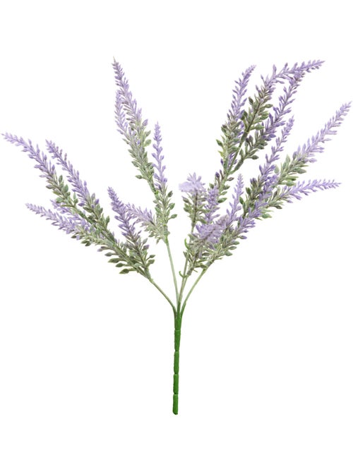 Bouquet de lavande PROV - Kiabi
