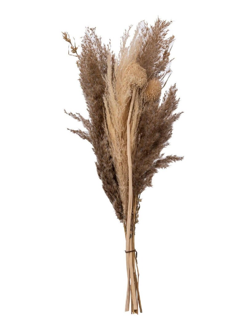 Bouquet de pampas séchées Beige - Kiabi