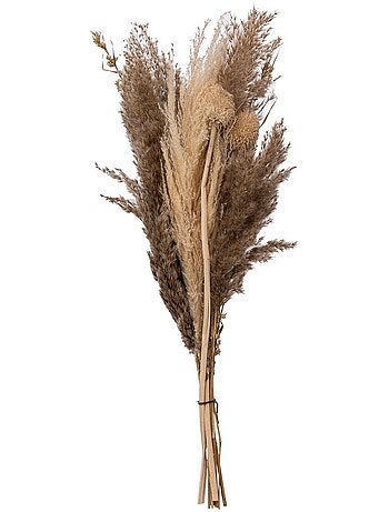 Bouquet de pampas séchées ORI