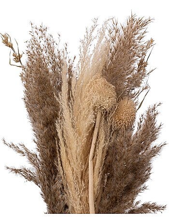 Bouquet de pampas séchées ORI