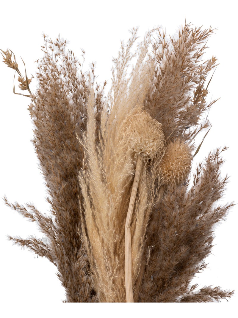 Bouquet de pampas séchées ORI Beige - Kiabi