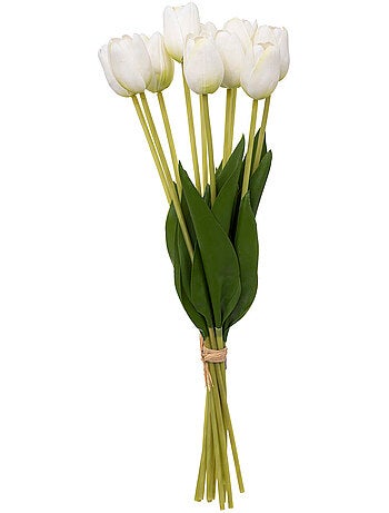 Bouquet de tulipes