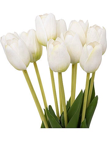 Bouquet de tulipes