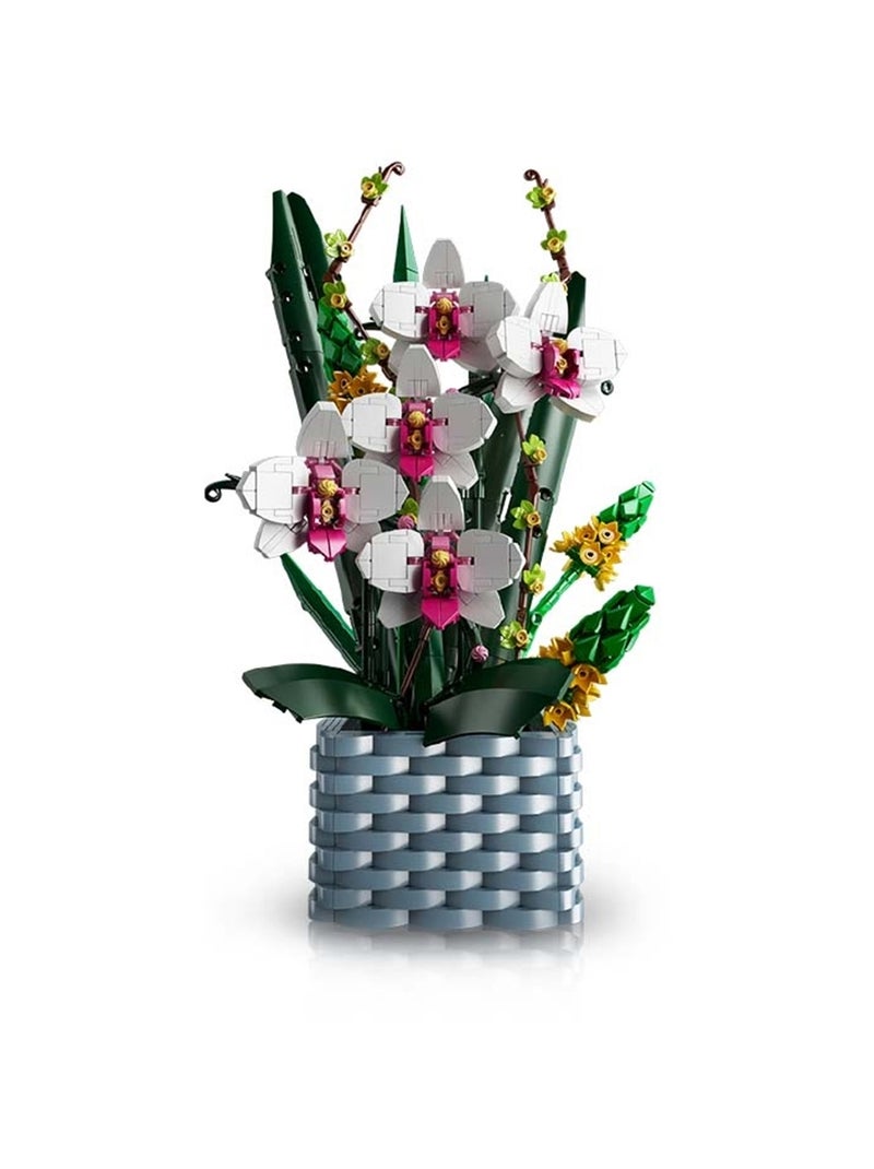 Bouquet d'orchidées Multicolore - Kiabi