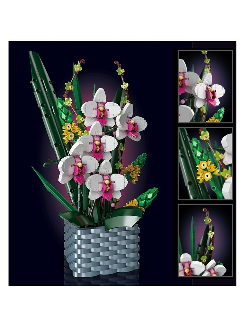 Bouquet d'orchidées Multicolore - Kiabi