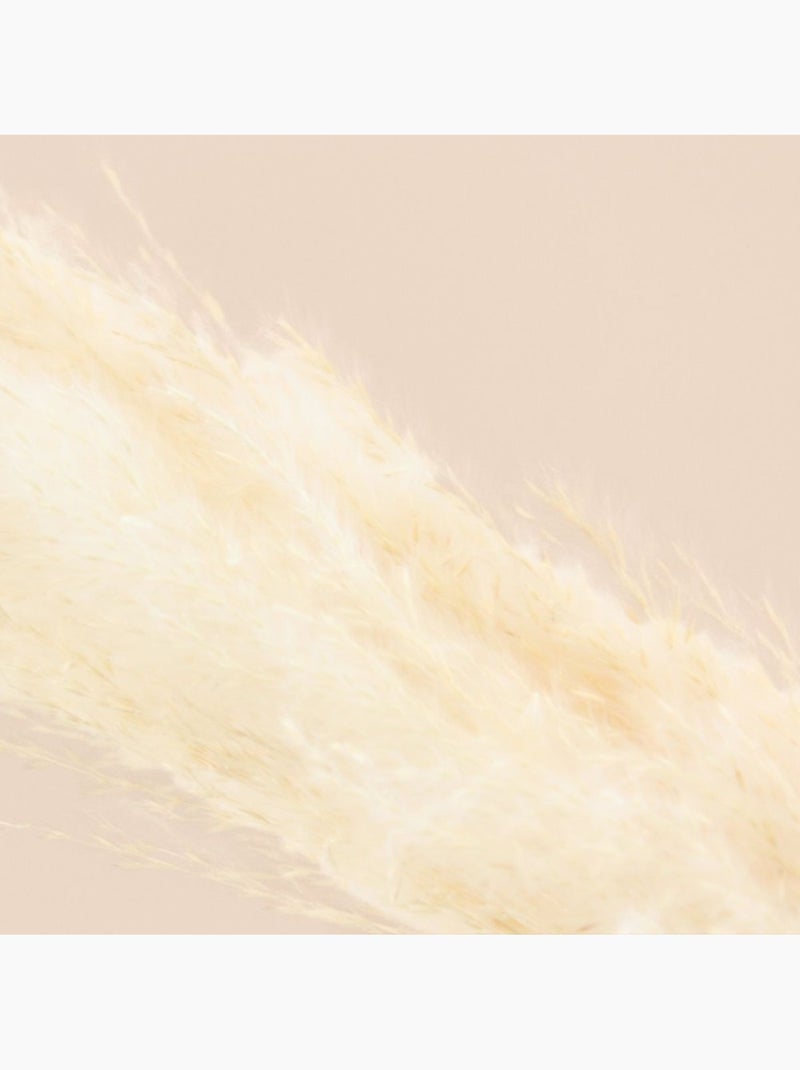 Bouquet fleurs séchées 5 pampas 100cm Beige - Kiabi