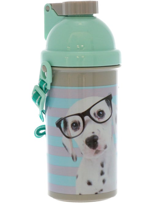 Bouteille à eau enfant 500 ml La boutique des toons – Pets - Kiabi