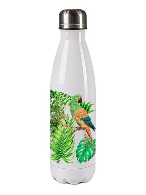 Bouteille isotherme en inox 750 ml - Perroquet by Cbkreation - Kiabi