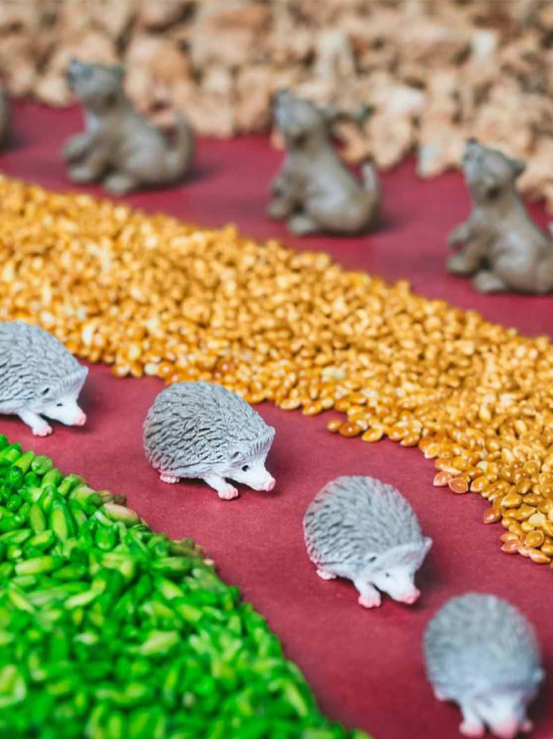 Bouteille sensorielle Spy, Forêt Petit Boum Beige - Kiabi