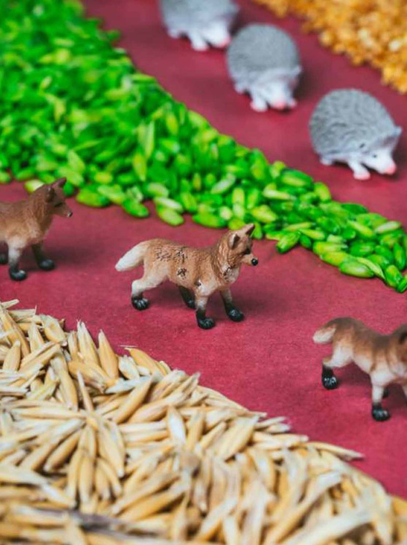 Bouteille sensorielle Spy, Forêt Petit Boum Beige - Kiabi