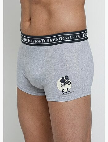 Boxer avec licence E.T. - AFIBEL