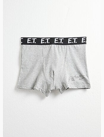 Boxer avec licence E.T. - AFIBEL