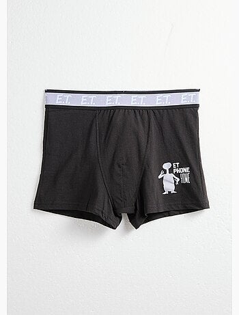 Boxer avec licence E.T. - AFIBEL