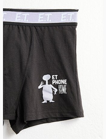 Boxer avec licence E.T. - AFIBEL