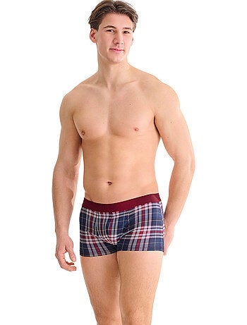 Boxer cosy nights