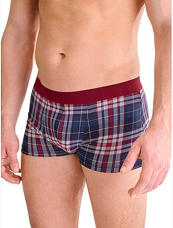 Boxer cosy nights