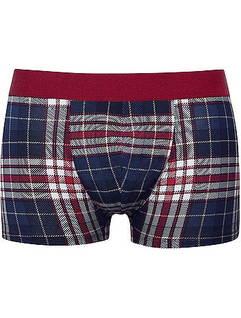 Boxer cosy nights