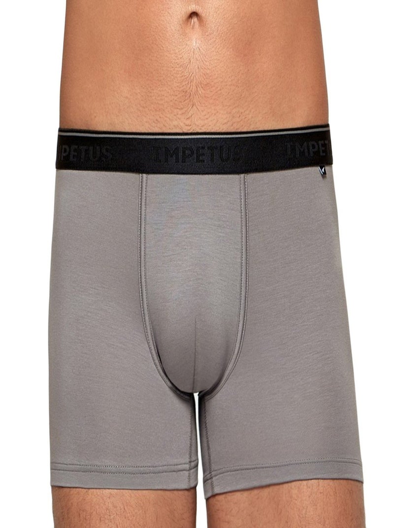 Boxer en fibre lyocell Travel Gris - Kiabi