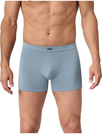 Boxer Gentleman
