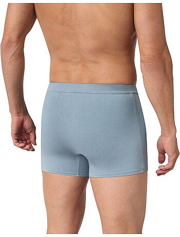 Boxer Gentleman