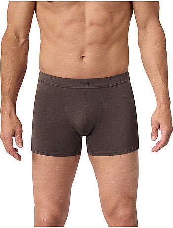 Boxer Gentleman