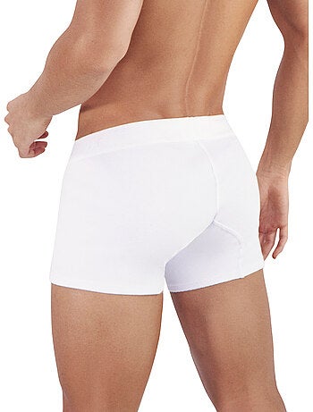 Boxer Heavenly