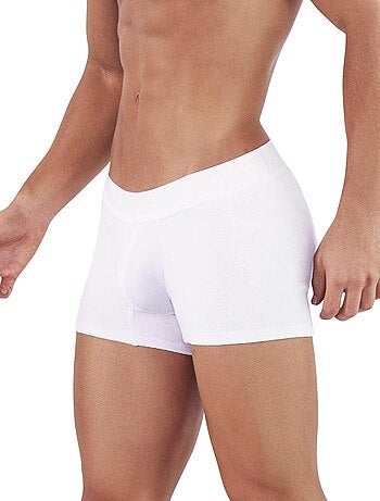 Boxer Heavenly