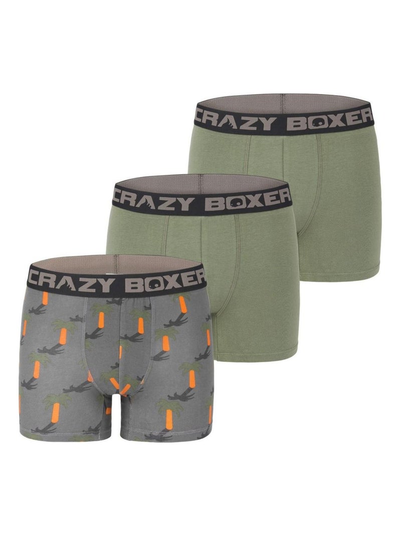 Boxer homme coton Bio Gots Palmier Crazy Boxer Vert - Kiabi