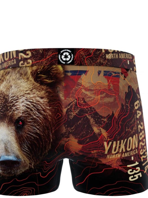 Boxer homme en polyester recyclé Animal Savage Bear Freegun - Kiabi Boxer homme en polyester recyclé Animal Savage Bear Freegun - Kiabi