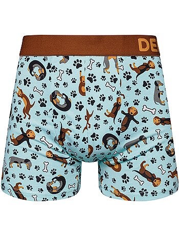 Boxer Homme Teckel