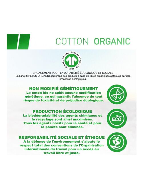 Boxer rayé en coton bio Cotton Organic - Kiabi