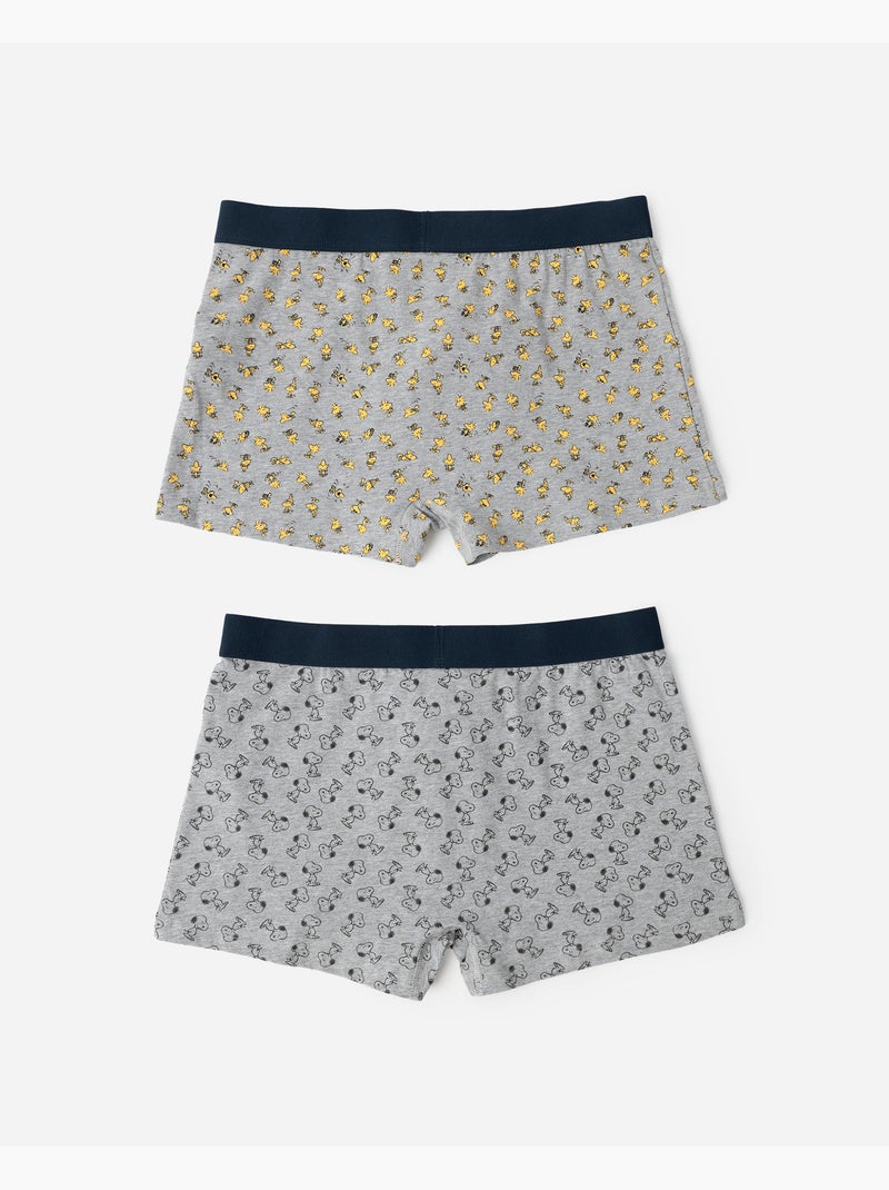 Boxers classiques Peanuts pour homme (lot de 2) Multicolore - Kiabi