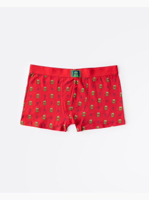 Boxers/sous-vêtements Disney Kermit à l'effigie de Kermit, coffret cadeau en métal pour homme - Kiabi Boxers/sous-vêtements Disney Kermit à l'effigie de Kermit, coffret cadeau en métal pour homme - Kiabi
