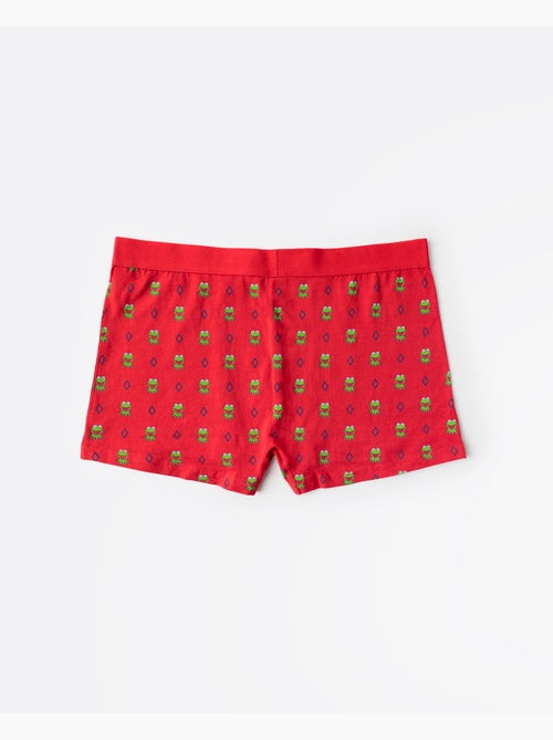 Boxers/sous-vêtements Disney Kermit à l'effigie de Kermit, coffret cadeau en métal pour homme - Kiabi Boxers/sous-vêtements Disney Kermit à l'effigie de Kermit, coffret cadeau en métal pour homme - Kiabi
