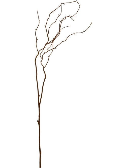 Branche décorative NYER - Kiabi