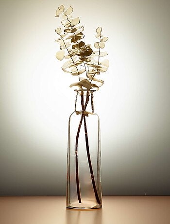 Branche d'eucalyptus dorée