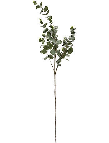 Branche Eucalyptus Paillettes Floquée 98 cm