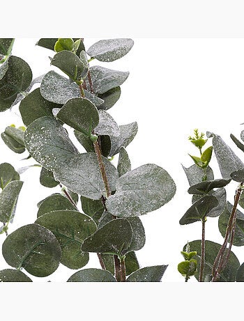 Branche Eucalyptus Paillettes Floquée 98 cm