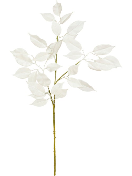 Branche Ficus blanc 93cm - Kiabi