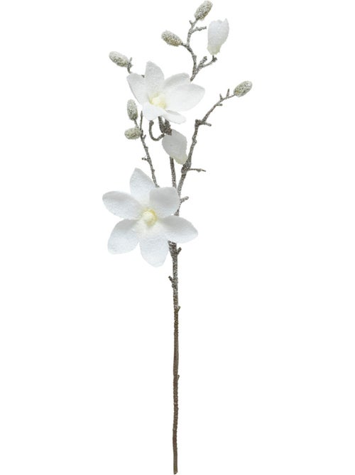 Branche Magnolia blanc H66cm - Kiabi