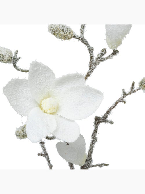 Branche Magnolia blanc H66cm - Kiabi