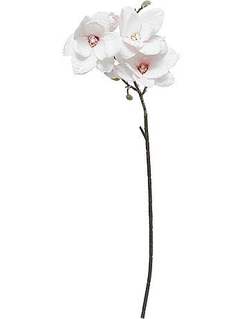 Branche Magnolia rose H88cm