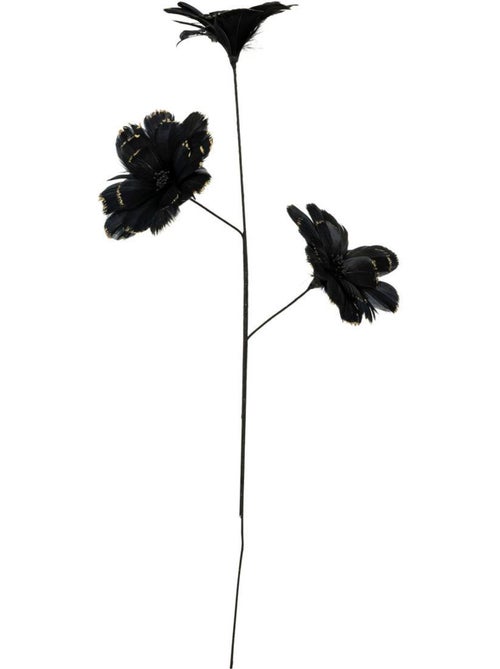 Branche plume noir H65 - Kiabi