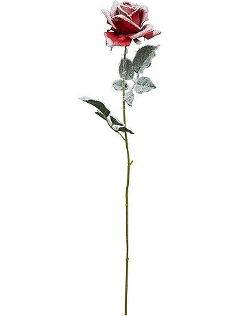 Branche rose rouge enneigée H62