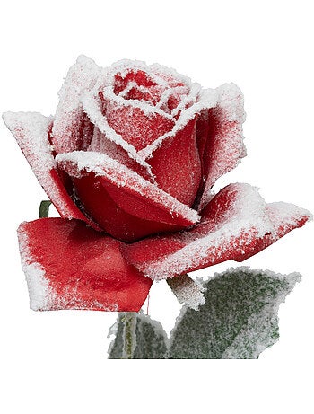 Branche rose rouge enneigée H62