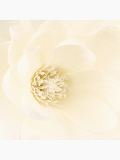 Branches de magnolia - Kiabi