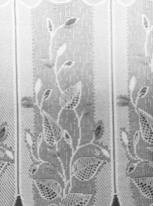 Brise bise à feuillages - Kiabi